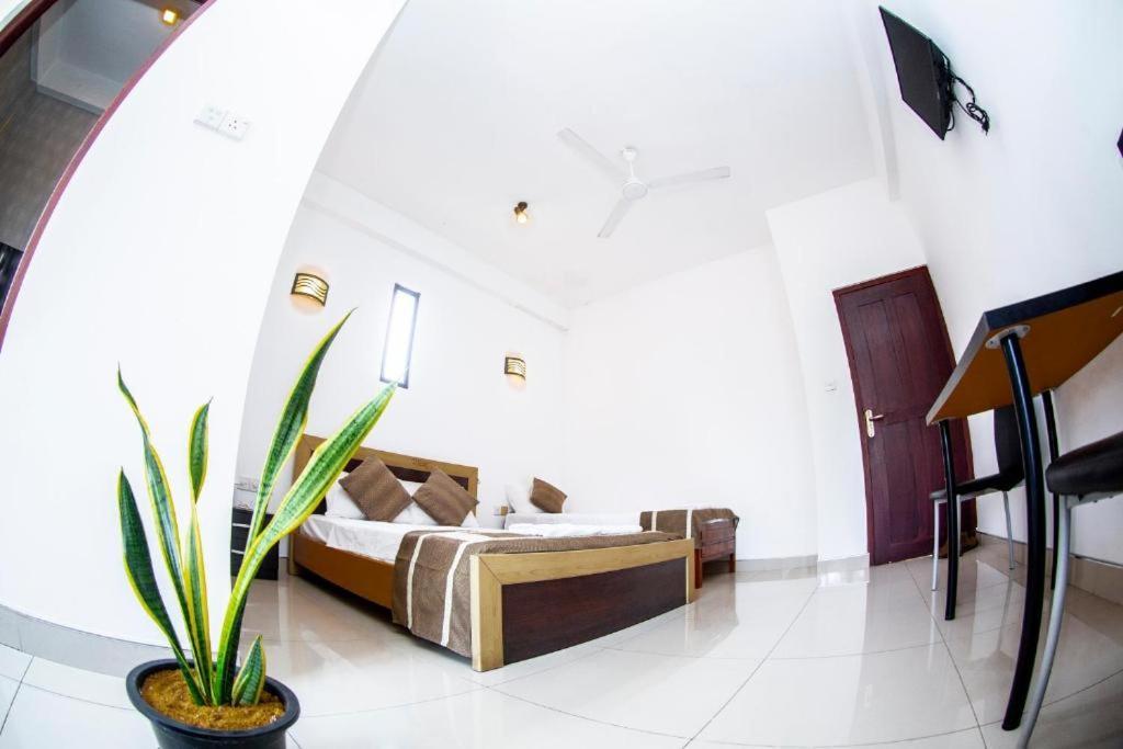 Hotel Blue Bird Negombo Exteriör bild